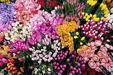 华纳兄弟游戏部门重组 今后将专注于四大核心IP